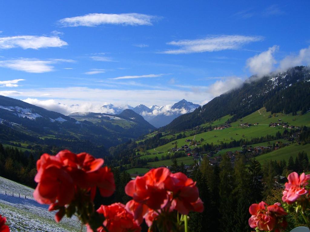 Kaiserhof photo 4