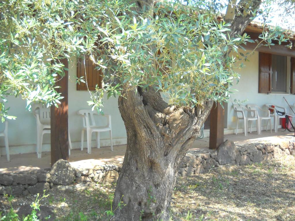 Agriturismo Su Tiresi photo 4