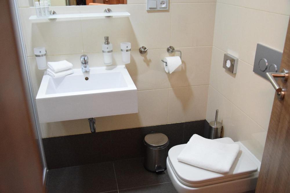 Двухместный (Двухместный номер с 1 кроватью), Hotel Prague Star