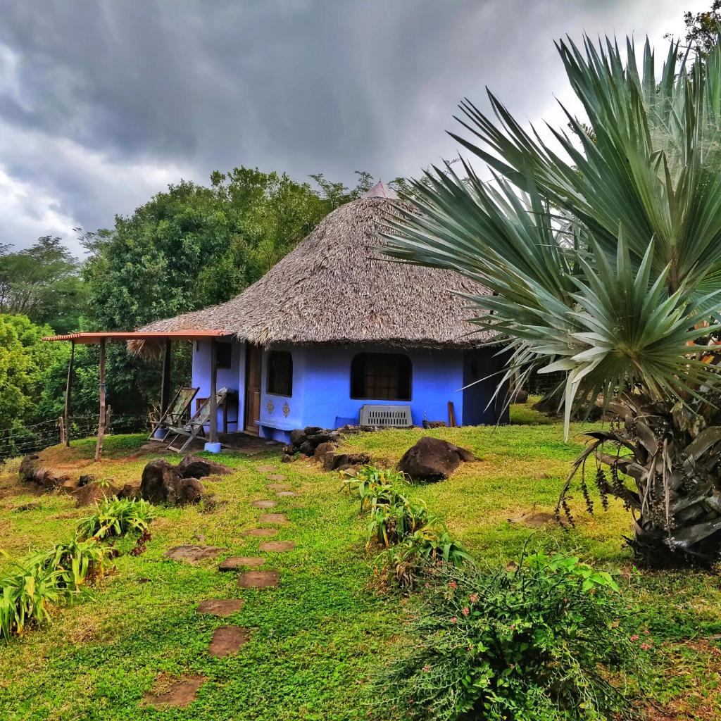 Finca del Sol Eco Lodge photo 2