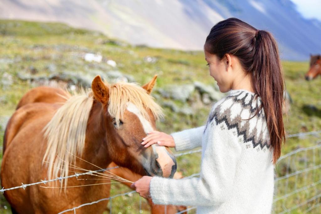 Experience Beautiful Iceland photo 4