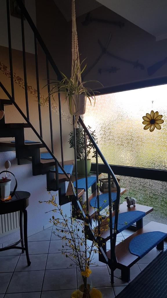 Ferienwohnung Fiehn photo 1