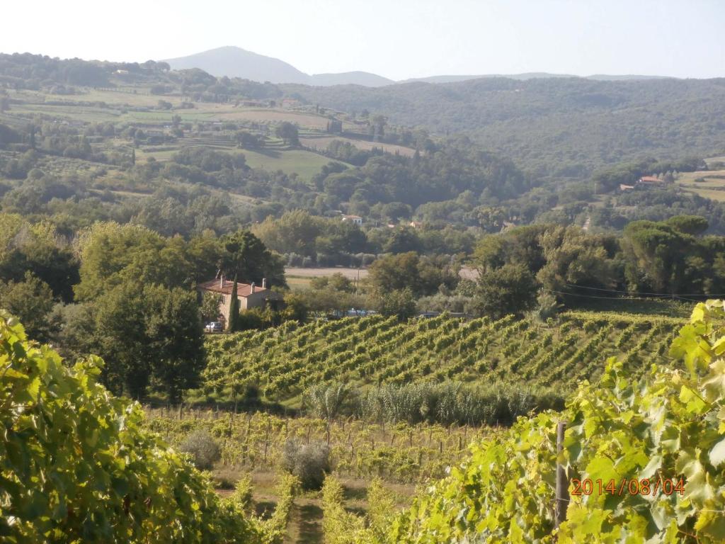 GRANDE SOLE photo 1