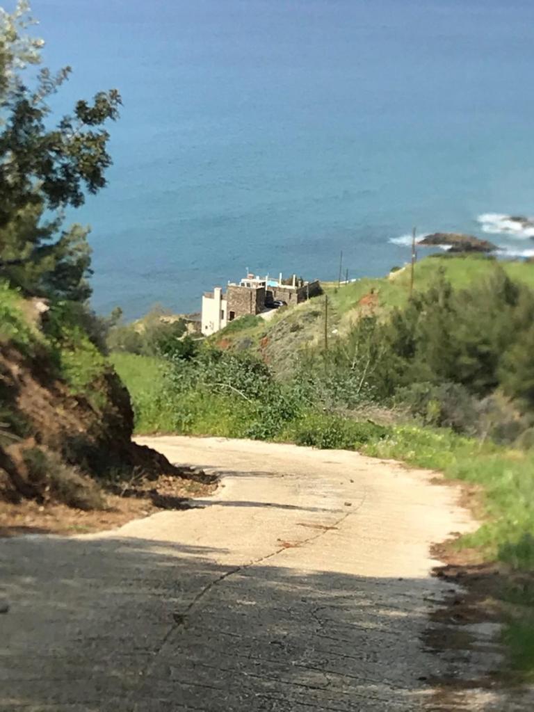 Beach Villa Pantheon photo 3