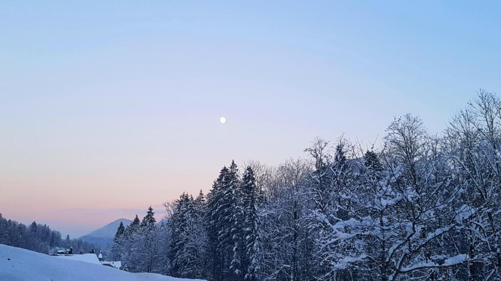 Landhaus Degen photo 2