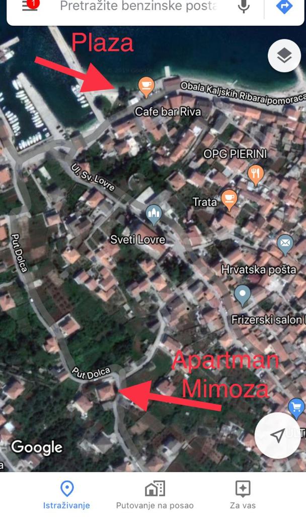 Mimoza photo 1