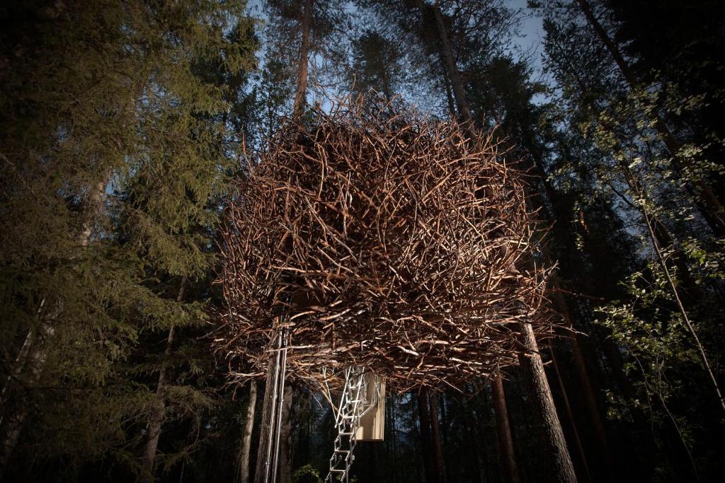 Treehotel photo 2