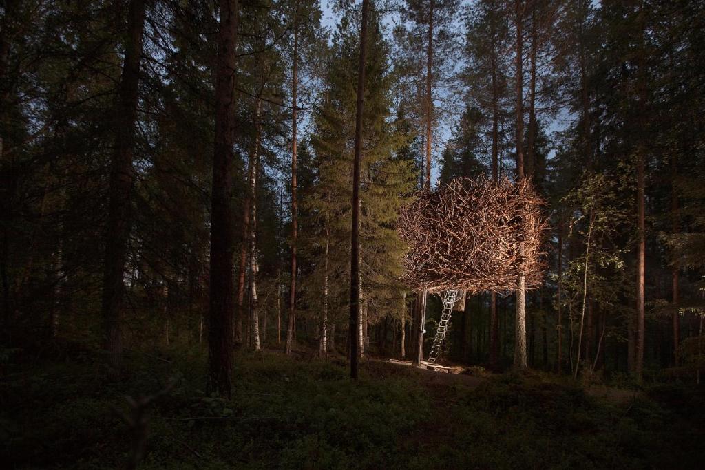 Treehotel - Tap to explore photos