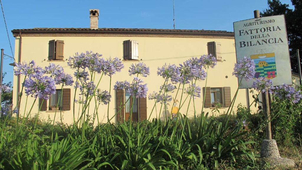 FATTORIA DELLA BILANCIA photo 3