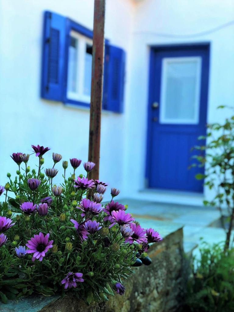 HORTO HOUSE photo 3