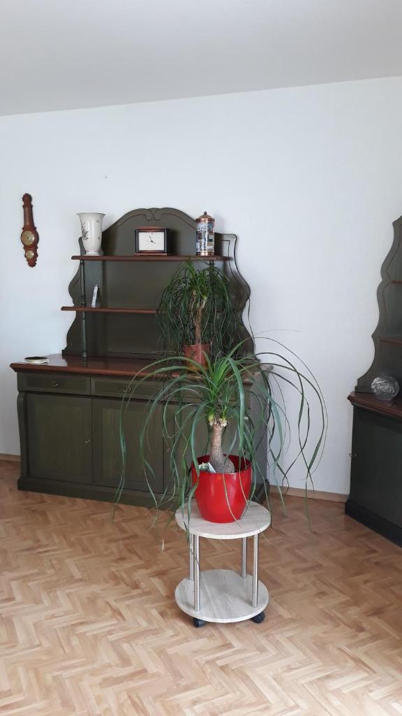 5 Gartenstraße photo 2