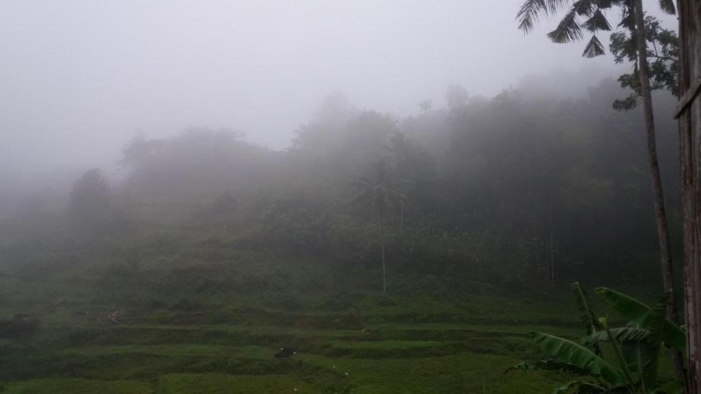 Canjahawon Nipa Hut Homestay photo 2