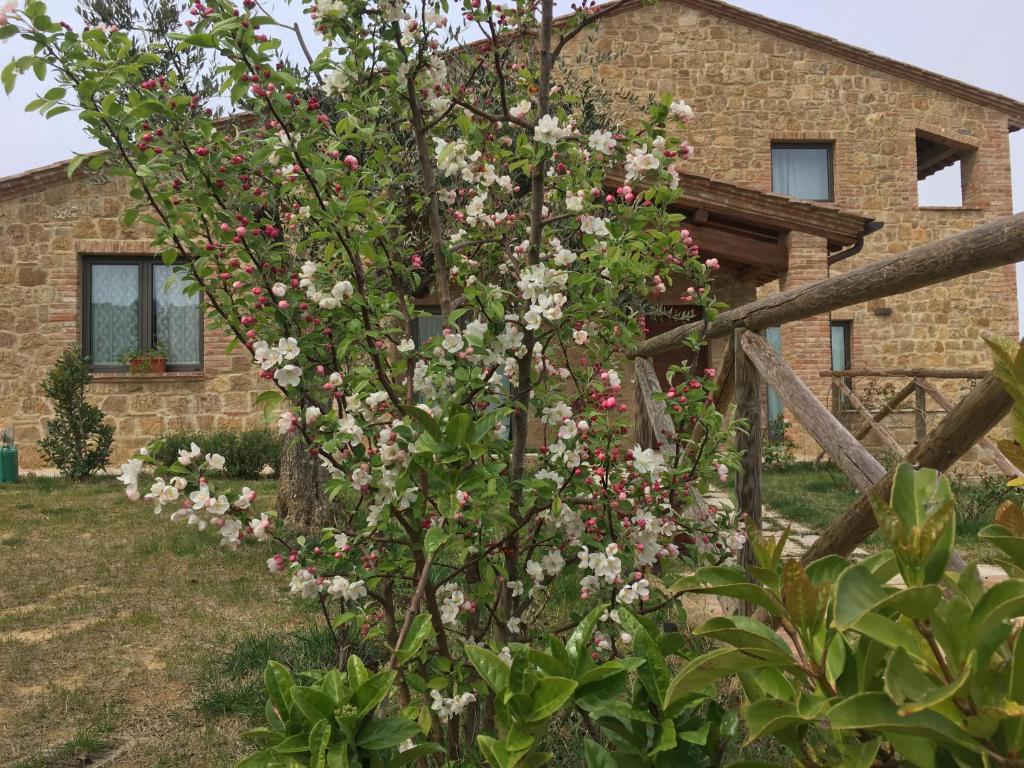 Residenza al Poggio degli Ulivi photo 3