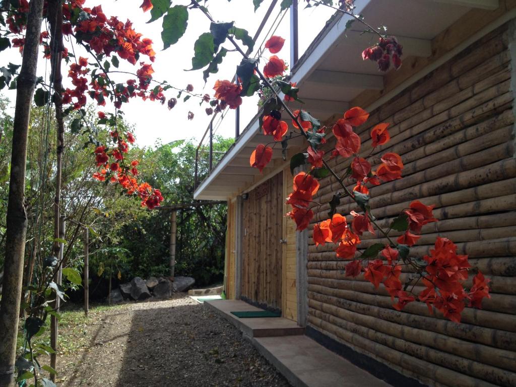 El Romeron Casa de Campo photo 1