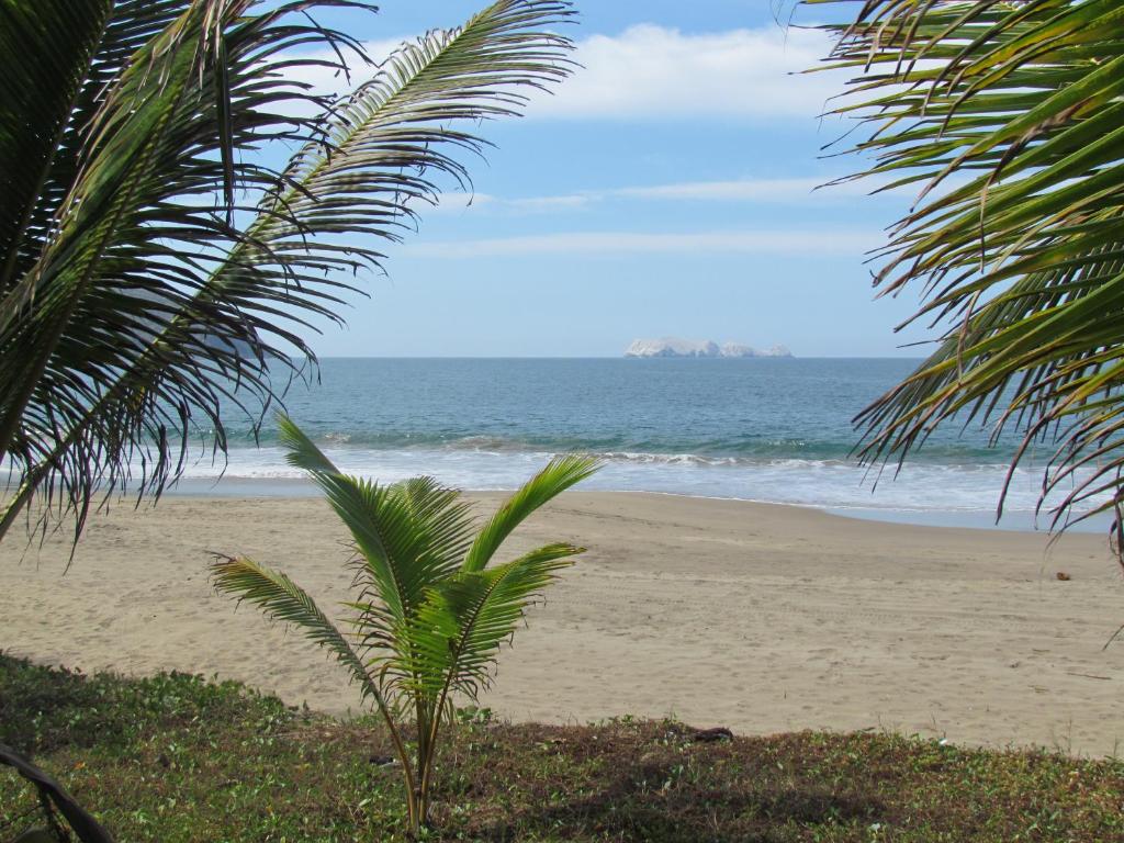 Un Escondite Mágico photo 3