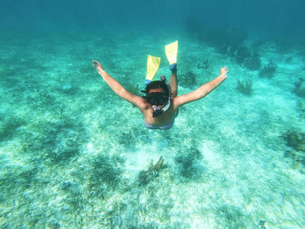 Blue Marlin Beach Resort photo 4