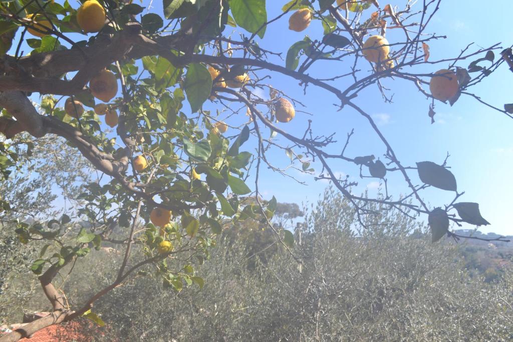 Appartamento Isola D'oro photo 2