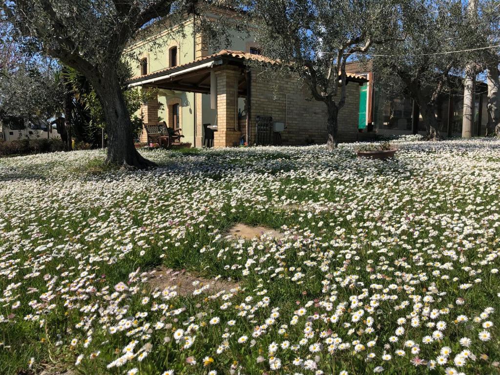Agriturismo Villa Vetiche photo 2