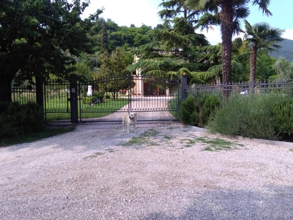appartamento Margherita photo 1