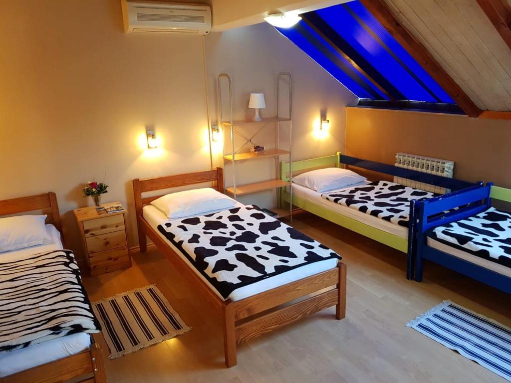 Четырехместный (Четырехместный номер «Комфорт»), Favela Hostel