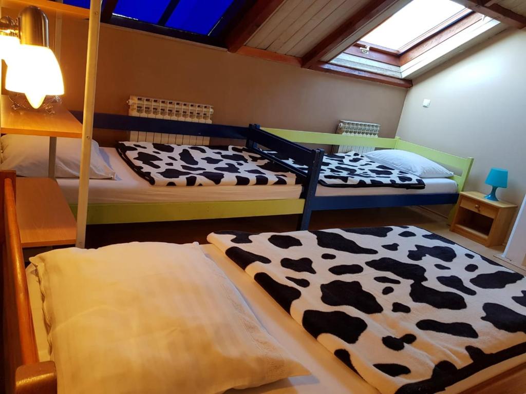 Четырехместный (Четырехместный номер «Комфорт»), Favela Hostel