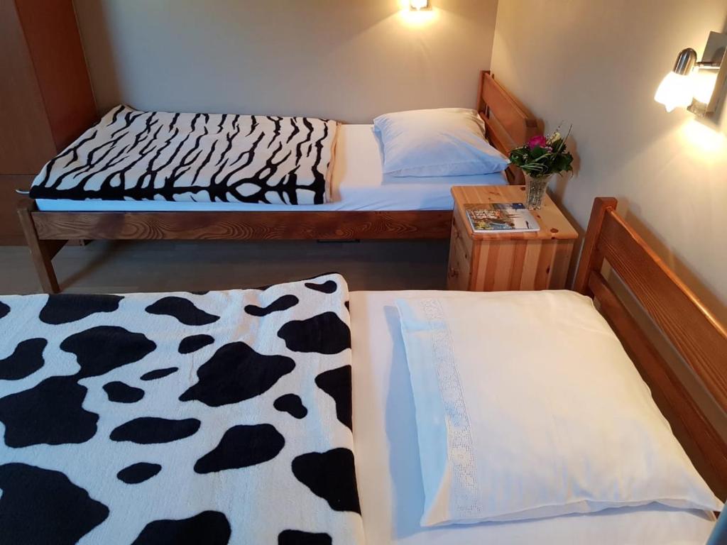 Четырехместный (Четырехместный номер «Комфорт»), Favela Hostel