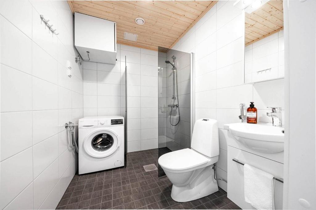 Vihtakatu Apartments photo 3