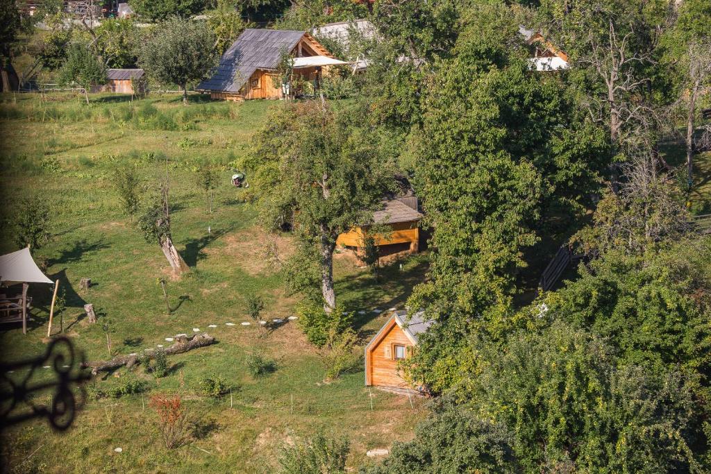 Glamping Organic Farm Slibar photo 3