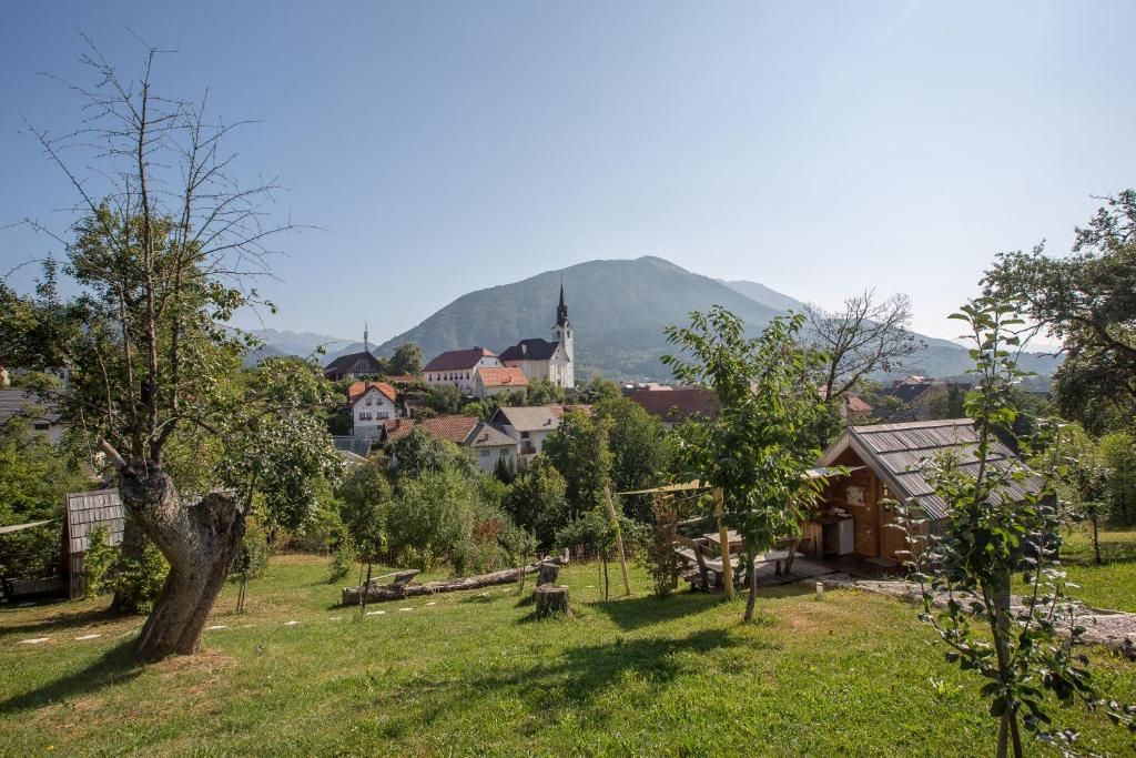 Glamping Organic Farm Slibar photo 4
