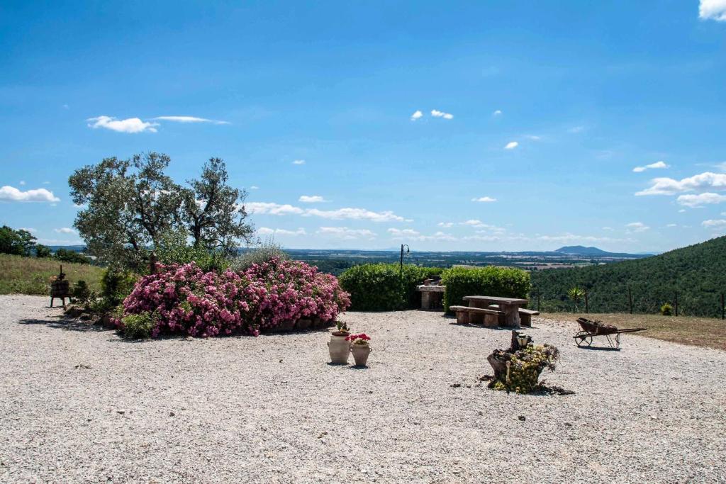 Poggio Al Vento photo 4