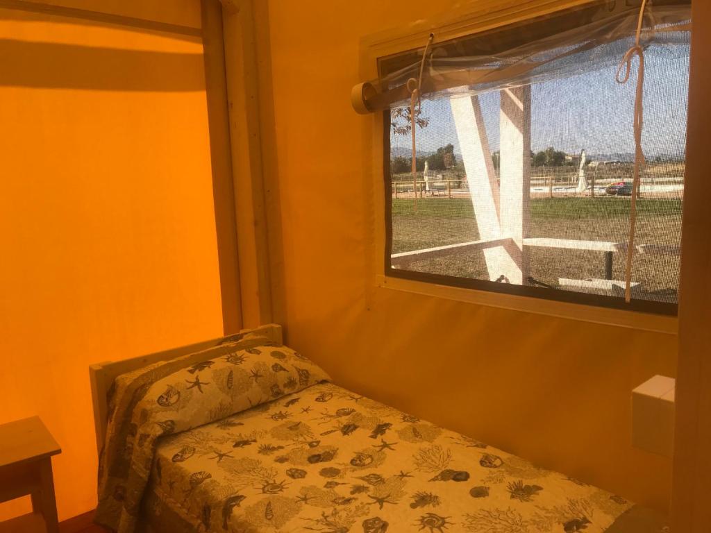 Vento etrusco photo 1