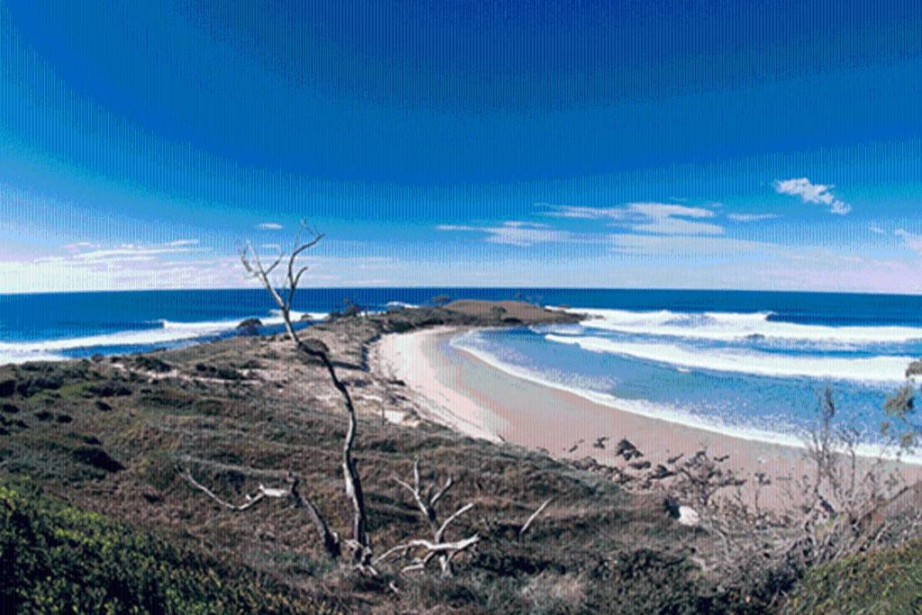 Yamba Central photo 3