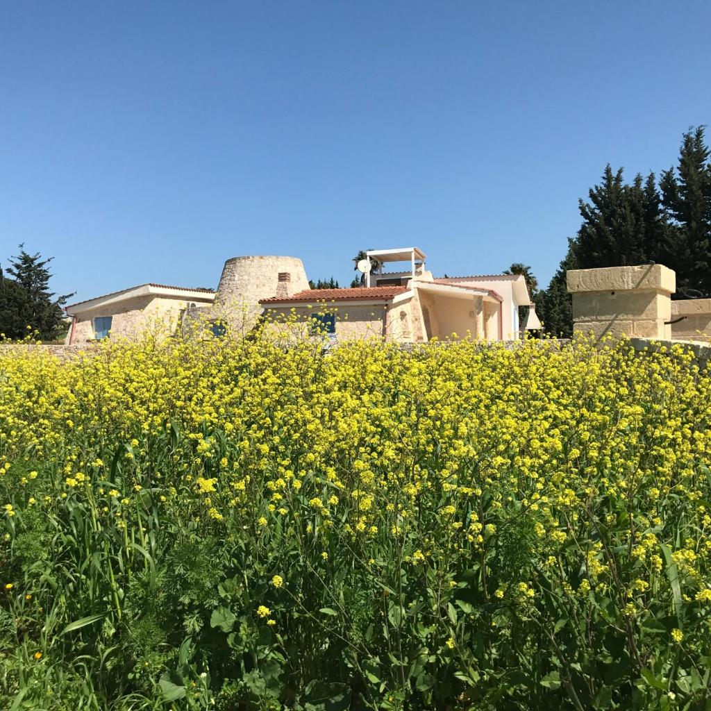 Villa Trullo di Angela photo 2