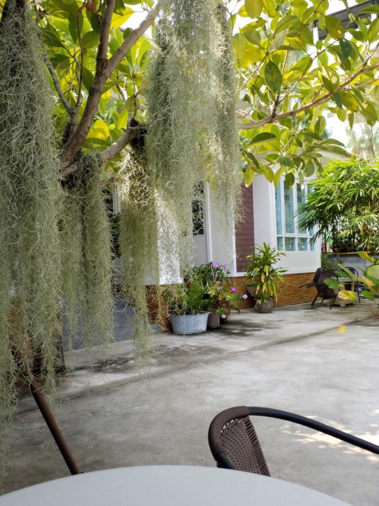 Homestay568 photo 4