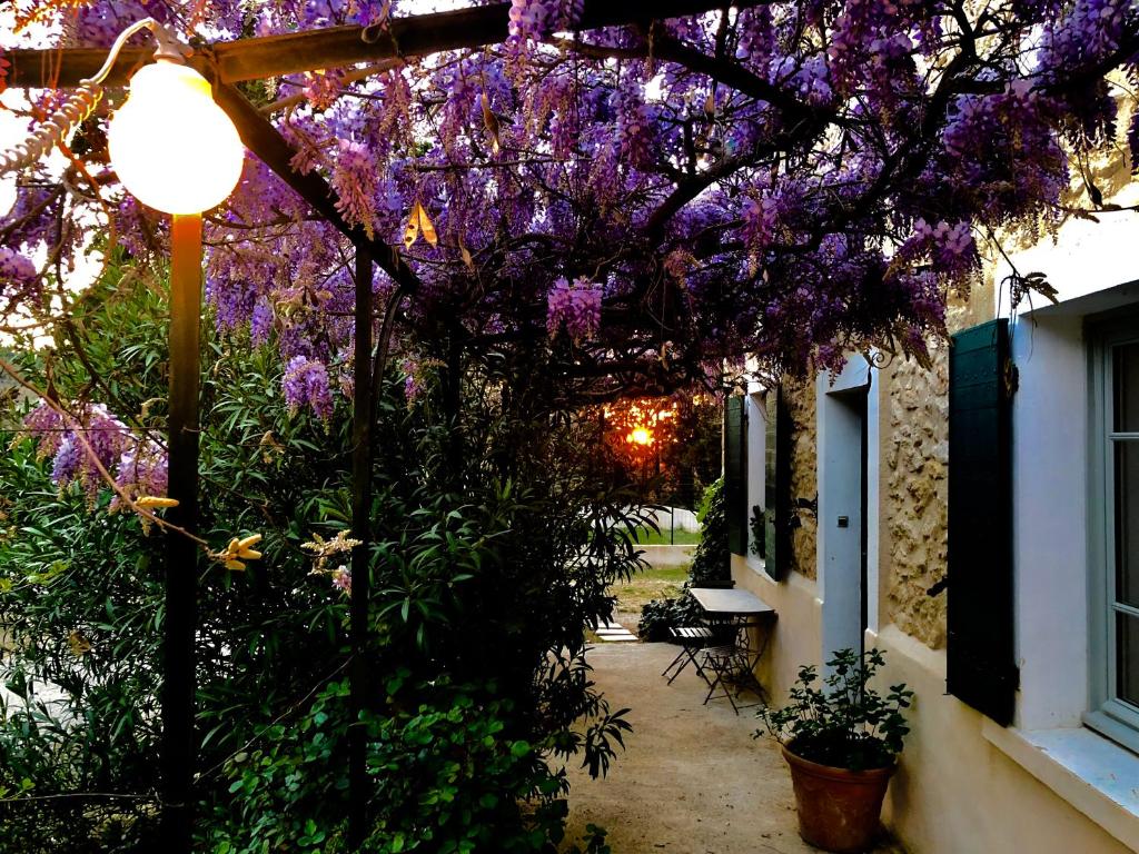 Campagne Paumier photo 1