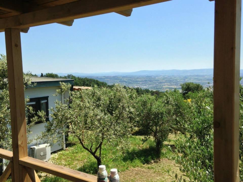 Camping San Giusto photo 1