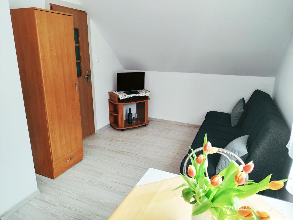 Noclegi U Dudów photo 4