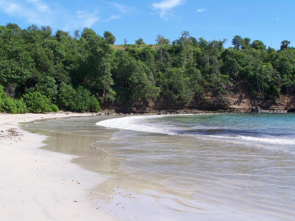 Two Bays Beach Villa, Apartment, and Studios photo 2