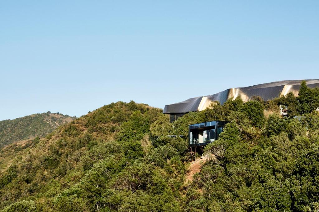 Vik Chile photo 4