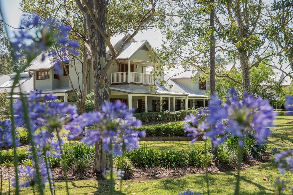 Spicers Vineyards Estate photo 3