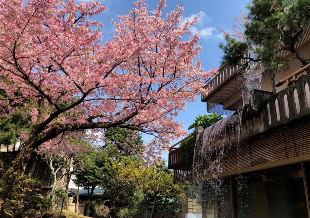 Atami Kinjokan - Tap to explore photos