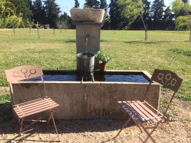 Safranière des Sorgues photo 2