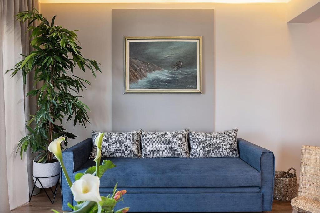Anemone Holiday Apartment photo 3