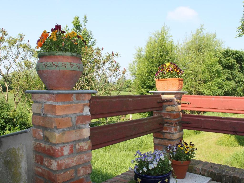 Luxurious Apartment in Steffenshagen with Terrace