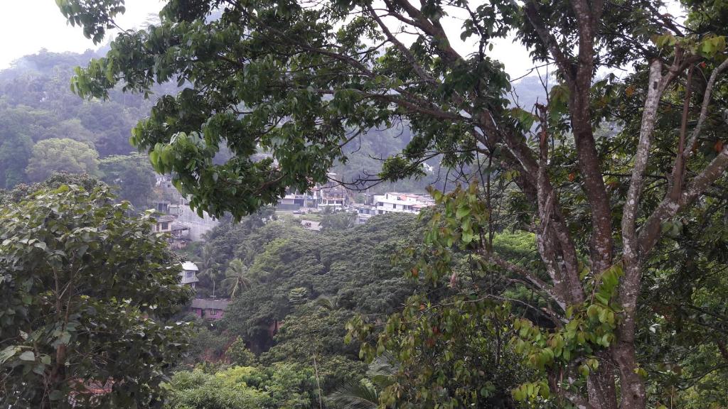 KANDY Holiday Residence photo 1