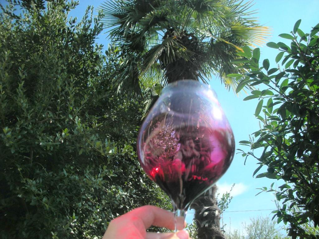 Cabernet Tali - Tap to explore photos
