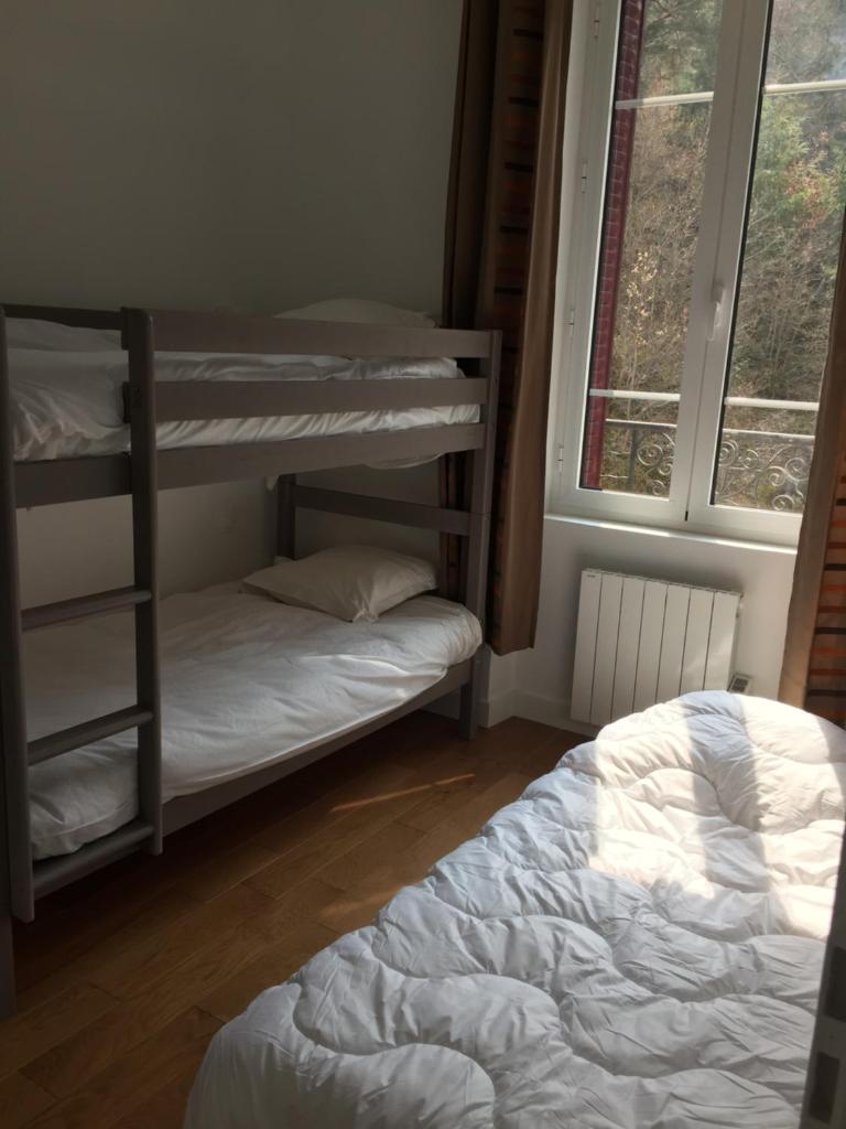 Magnifique et lumineux appartement au cœur du Sancy photo 3