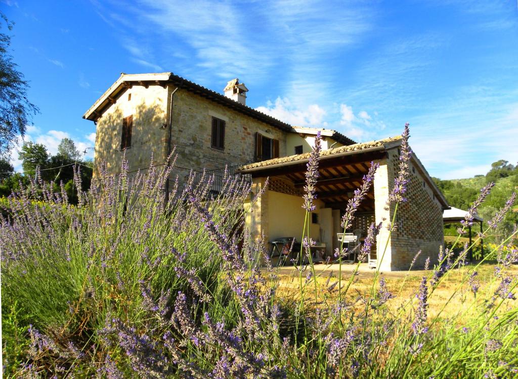 Appartamenti Verde Collina Umbra photo 2