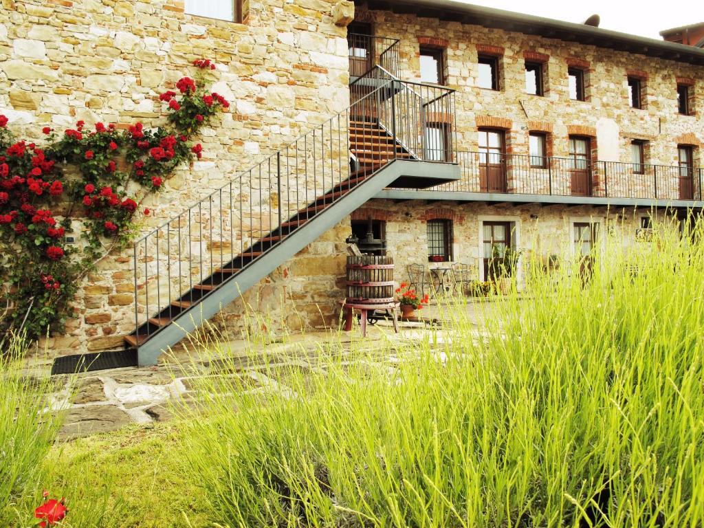 Agriturismo l'Uva e le Stelle photo 4