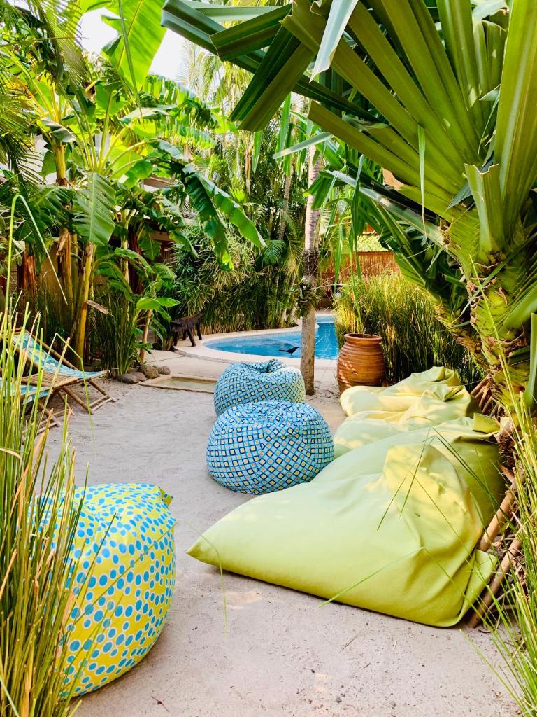 Ten North Tamarindo Beach Hotel photo 4